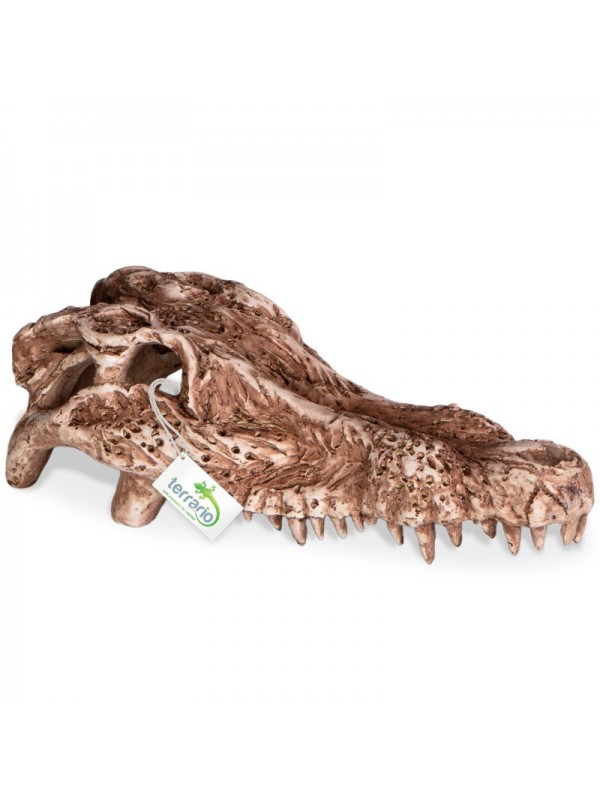 Декорація череп крокодила Terrario Crocodile Skull 30x14x9см (A15911)