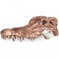 Декорація череп крокодила Terrario Crocodile Skull 30x14x9см (A15911)