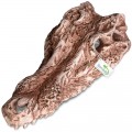Декорація череп крокодила Terrario Crocodile Skull 30x14x9см (A15911)
