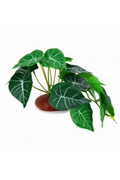 Штучна рослина Hobby Alocasia 1 24 × 14 см (37717) для тераріуму, акватераріуму та палюдаріуму
