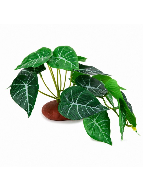 Искусственное растение Hobby Alocasia 1 24 × 14 см (37717) для террариума, акватерариума и палюдариума