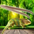 Бамбуковый пинцет изогнутый Repti-Zoo 28см (FR09)