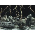 Акваріумний задній фон Aqua Nova Синє море/Камені з корчами 60x30см (TREE ROOTS/WATER S)