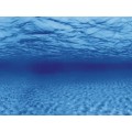 Акваріумний задній фон Aqua Nova Синє море/Камені з корчами 60x30см (TREE ROOTS/WATER S)