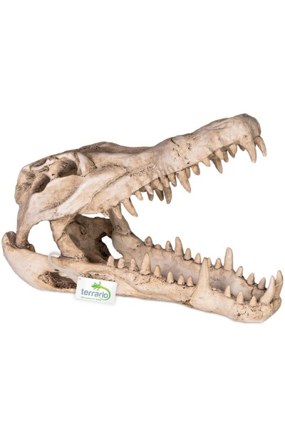 Декорация череп крокодила Terrario Crocodile Skull XL 23x11x16см (251115)