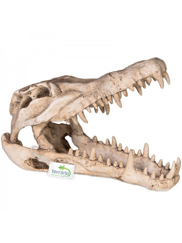Декорація череп крокодила Terrario Crocodile Skull XL 23x11x16см (251115)