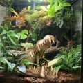 Декорация череп крокодила Terrario Crocodile Skull XL 23x11x16см (251115)