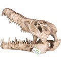 Декорация череп крокодила Terrario Crocodile Skull XL 23x11x16см (251115)