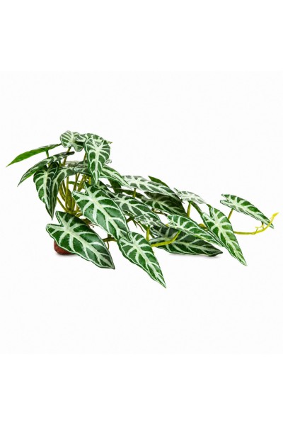 Штучна рослина Hobby Calathea 2 40×20 см (37715) для тераріуму, акватераріуму та палюдаріуму