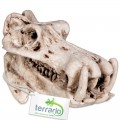 Декорация череп бегемота Terrario Hippo Skull 5x3x3см (533)