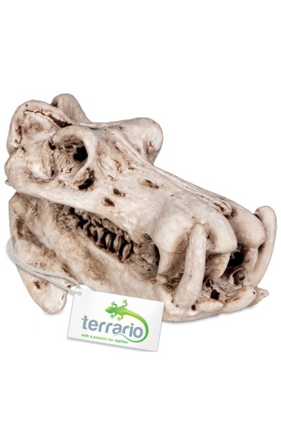 Декорация череп бегемота Terrario Hippo Skull 5x3x3см (533)