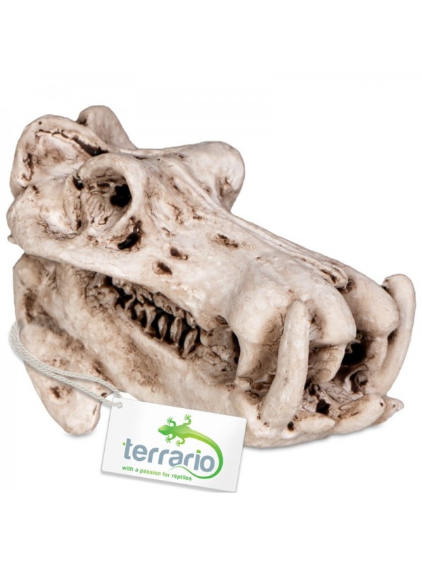 Декорація череп бегемота Terrario Hippo Skull 5x3x3см (533)