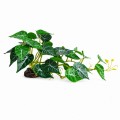 Искусственное растение Hobby Alocasia 2 40 × 20 см (37718) для террариума, акватерариума и палюдариума