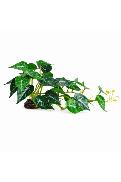 Штучна рослина Hobby Alocasia 2 40 × 20 см (37718) для тераріуму, акватераріуму та палюдаріуму
