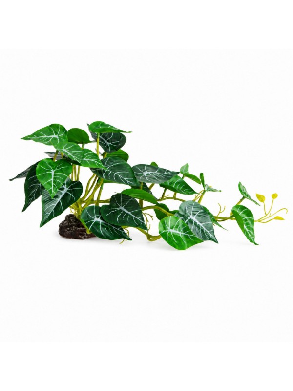 Искусственное растение Hobby Alocasia 2 40 × 20 см (37718) для террариума, акватерариума и палюдариума