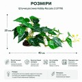 Искусственное растение Hobby Alocasia 2 40 × 20 см (37718) для террариума, акватерариума и палюдариума