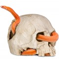 Декорация черепа человека Terrario Human Skull 14x11x11см (151211)