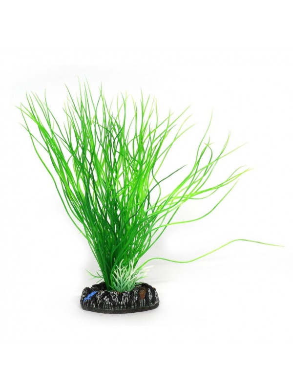 Штучна рослина Hobby Sagittaria 20см (41502)