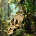 Декорация черепа человека Terrario Human Skull XL 15x10x9см (161012)