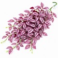 Искусственное растение Hobby Climber Purpurea 70 см (37726) для террариума, акватерариума и палюдариума