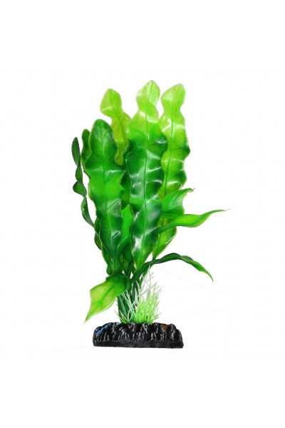 Штучна рослина Hobby Echinodrus 20см (41504)