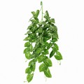 Искусственное растение Hobby Climber Heartleaf 70 см (37727) для террариума, акватерариума и палюдариума