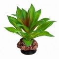 Искусственное растение Hobby Terra Succulent 2 10 см (37731) для террариума, акватерариума и палюдариума
