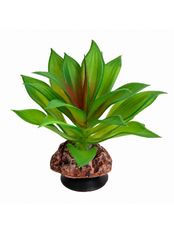 Искусственное растение Hobby Terra Succulent 2 10 см (37731) для террариума, акватерариума и палюдариума