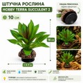 Искусственное растение Hobby Terra Succulent 2 10 см (37731) для террариума, акватерариума и палюдариума