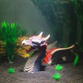 Декорация дракон Hobby Red Dragon 1 20x9.5x11.5см (32068)