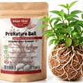 Питательные шарики Kruger Meier ProNature Ball 10 для аквариумных и террариумных растений Питательные шарики Kruger Meier ProNature Ball 10 для аквариумных и террариумных растений