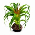 Искусственное растение Hobby Terra Succulent 3 14 см (37732) для террариума, акватерариума и палюдариума