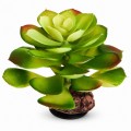 Искусственное растение Hobby Terra Succulent 4 17 см (37733) для террариума, акватерариума и палюдариума