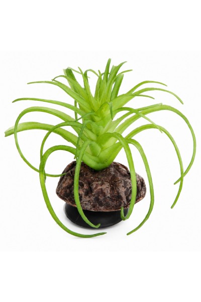 Искусственное растение Hobby Terra Succulent 5 8 см (37734) для террариума, акватерариума и палюдариума