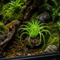 Искусственное растение Hobby Terra Succulent 5 8 см (37734) для террариума, акватерариума и палюдариума