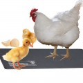 Нагревательный мат водонепроницаемый Terrario Repti Pad PVC 20W 20x35см (repti-pad-pvc-20w)