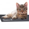 Нагрівальний мат водонепроникний Terrario Repti Pad PVC 40W 40x60см для тераріумів, котів, собак, птахів та рослин