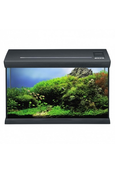 Акваріумний комплект чорний Eheim aquaclass 66 (0340710)