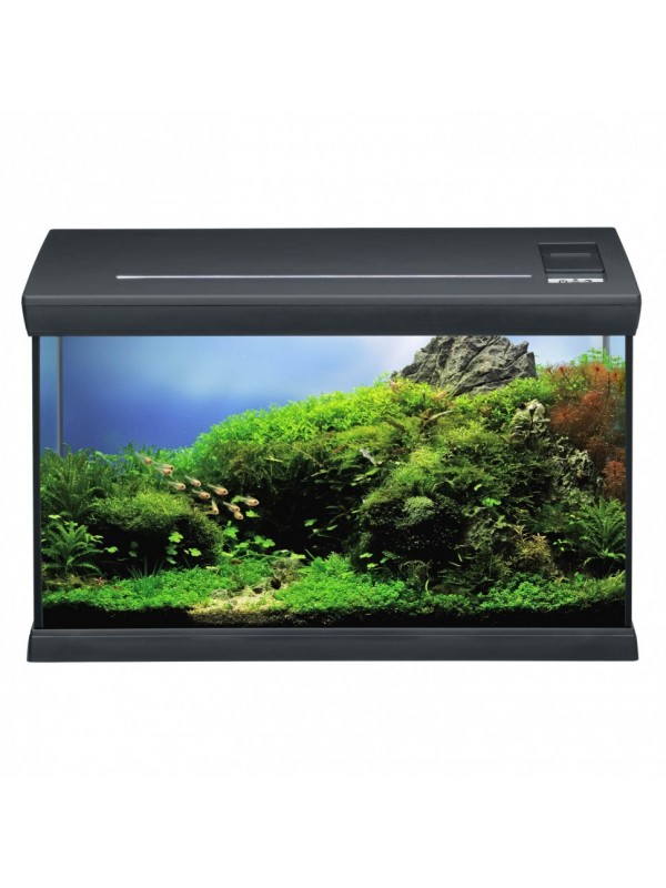 Аквариумный комплект черный Eheim aquaclass 66 (0340710)
