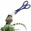 Інструмент для вилову кормових комах Terrario Cricket Catcher