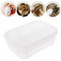 Инкубатор пластиковый на 12 яиц Terrario EggIncubator (Terrario-eggincubator)