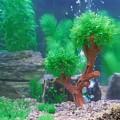 Декорация дерево Hobby Aqua Tree 2 12x6x21см (41547)
