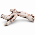 Декорация Hobby Cera Root 1 28,5×8×10 см - керамическая коряга для аквариума и террариума (37820)