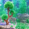 Декорация дерево Hobby Aqua Tree 3 15x6x26см (41548)