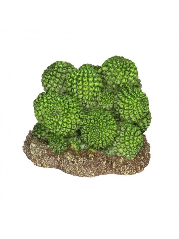 Декорація штучний кактус Hobby Cactus Atacama 7x6x5см (37018)