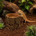Декорация Hobby Forest Stump 14×12,5×10 см - декоративный пень, поилка для террариума (40848)