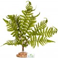Искусственное растение, папоротник Terrario 32x15x32см (330)