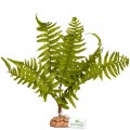 Искусственное растение, папоротник Terrario 32x15x32см (330)