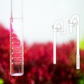 Набор вход выход фильтра Neo Flow L Normal - 16/22мм