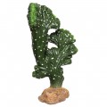 Декорація штучний кактус Hobby Cactus Victoria 2 13x8x22 (37020)